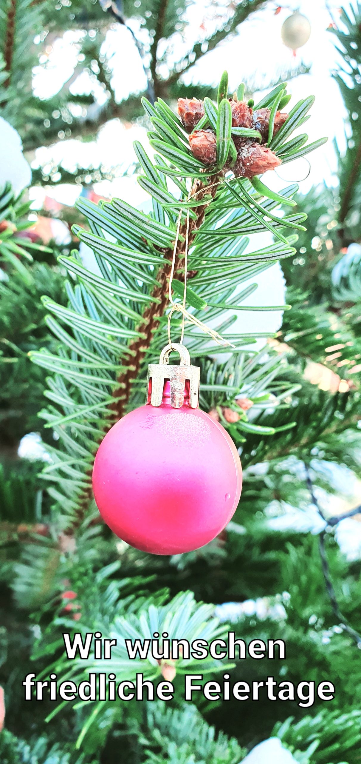 In diesem festlichen LebensBild hängt ein rosa Weihnachtsschmuck an einem grünen Tannenzweig. Der deutsche Text am unteren Rand lautet: Wir wünschen friedliche Feiertage (Wir wünschen Ihnen friedliche Feiertage). LebensBild