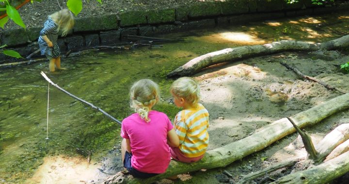 Drei Kinder spielen an einem seichten, sonnenbeschienenen Bach in einem Waldgebiet. Zwei sitzen auf großen Baumwurzeln am Wasser und halten sich an Stöcken fest, während das dritte im Bach steht und nach unten schaut. Üppiges grünes Laub umgibt sie.