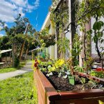 Ein hölzerner Pflanzkasten mit verschiedenen Grünpflanzen und Blumen steht in einem sonnigen Außenbereich in der Nähe der Kita Lillabo, einem Gebäude mit großen Fenstern und Fensterläden. Bäume, Gras und ein klarer blauer Himmel mit vereinzelten Wolken vervollständigen die Szene.