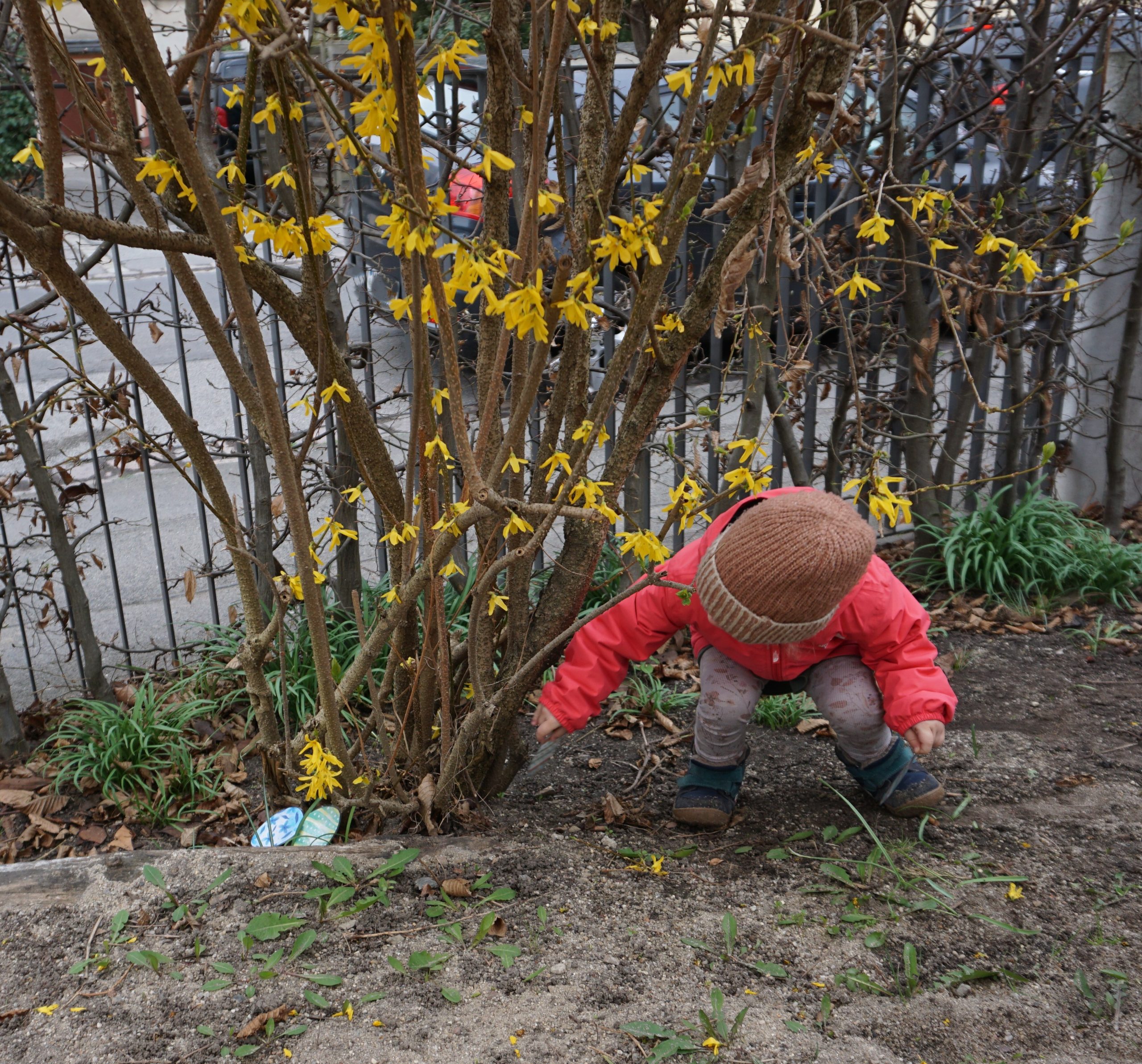 Kind sucht Osterei in der Kita Lillabo