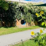 Ein schmaler Pfad führt durch einen grasbewachsenen Hof. Ein mit dichtem grünem Efeu bewachsenes Holzgebäude hat runde blaue Fenster. Im Vordergrund wachsen leuchtend gelbe Sonnenblumen am Wegesrand unter einem sonnigen Himmel.
