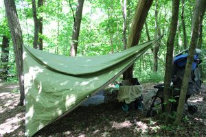 Eine grüne Plane ist als Schutz zwischen Bäumen in einem Wald aufgebaut. Unter der Plane stehen ein Kinderwagen und ein Rollator, und rundherum ist grünes Laub zu sehen. Das Sonnenlicht fällt durch die Bäume.